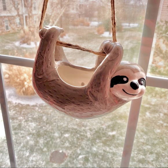 🦥 Ceramic Wall / Ceiling Hanging Sloth Planter 🦥 - Picture 6 of 6